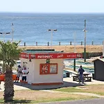 Dolphin Bay 2